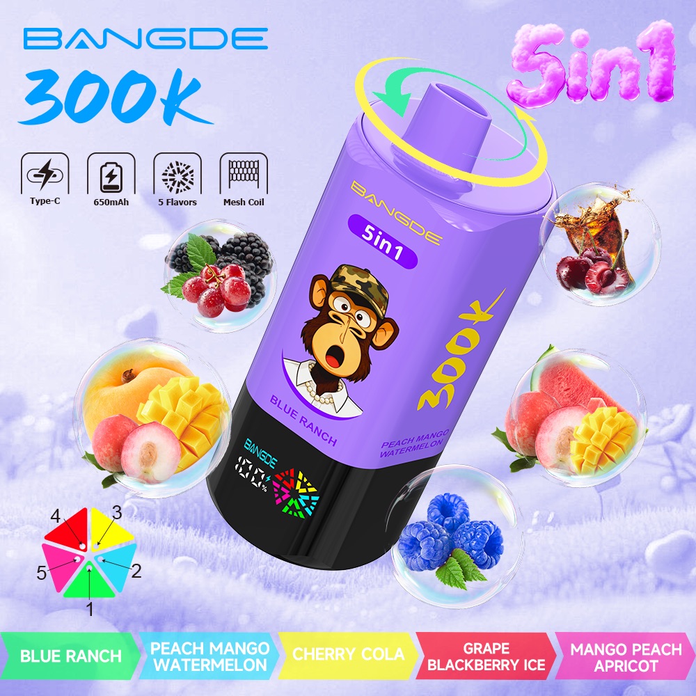 【🔥 BUY MORE, GET MORE FREE】Bang DE 300K 300000 Vape 5-in-1 Flavors Rechargeable LED Display Disposable E-Cigarette - Image 5