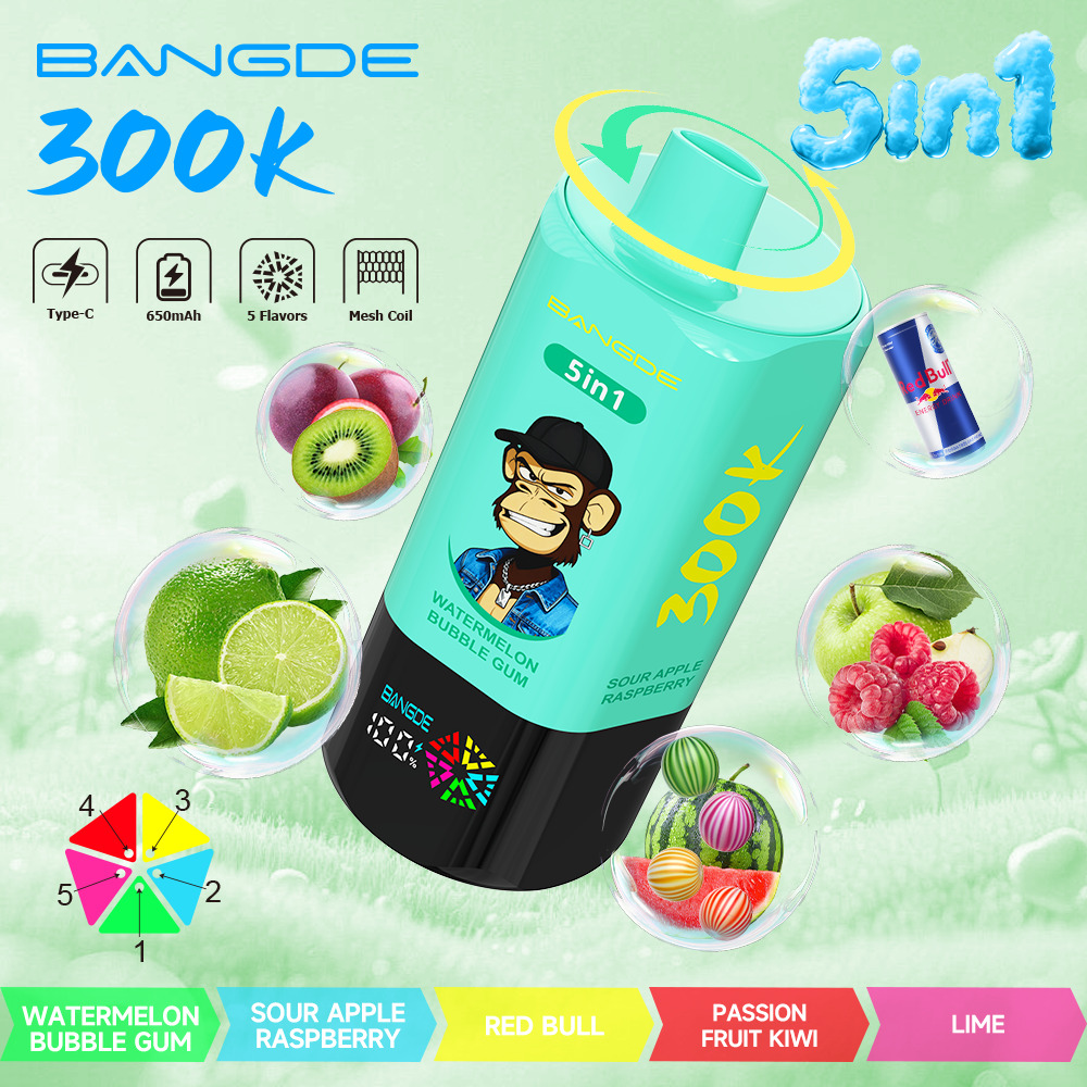 【🔥 BUY MORE, GET MORE FREE】Bang DE 300K 300000 Vape 5-in-1 Flavors Rechargeable LED Display Disposable E-Cigarette - Image 9