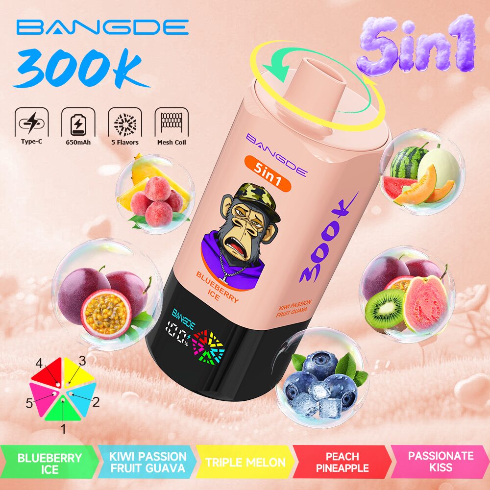 【🔥 BUY MORE, GET MORE FREE】Bang DE 300K 300000 Vape 5-in-1 Flavors Rechargeable LED Display Disposable E-Cigarette - Image 3
