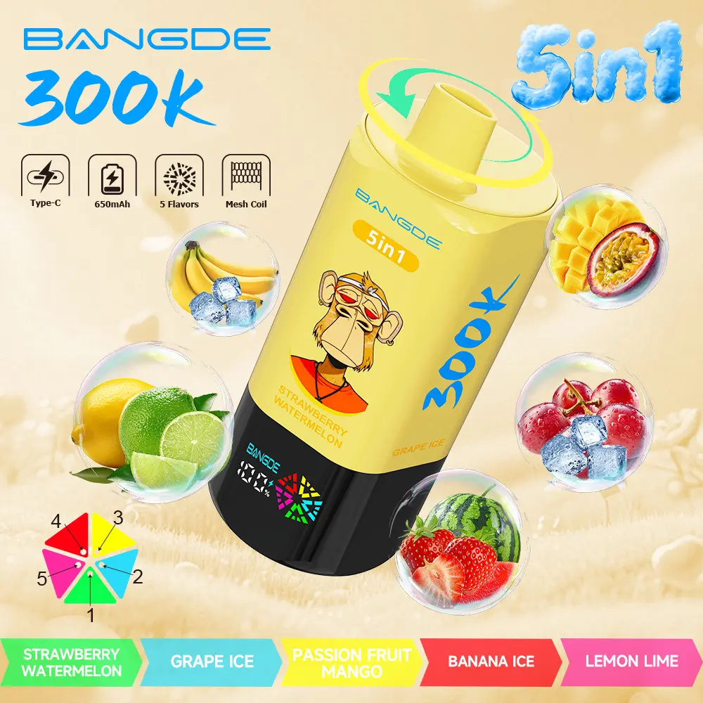 【🔥 BUY MORE, GET MORE FREE】Bang DE 300K 300000 Vape 5-in-1 Flavors Rechargeable LED Display Disposable E-Cigarette - Image 12