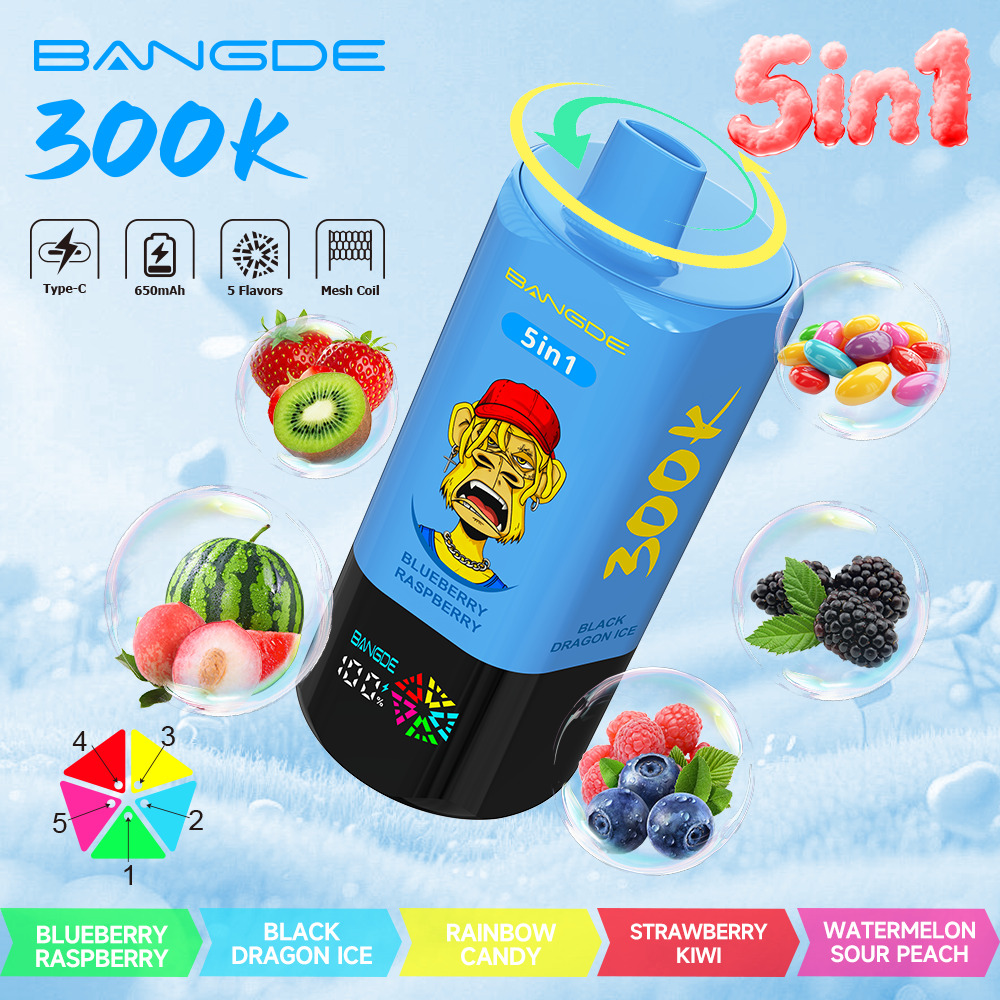 【🔥 BUY MORE, GET MORE FREE】Bang DE 300K 300000 Vape 5-in-1 Flavors Rechargeable LED Display Disposable E-Cigarette - Image 21
