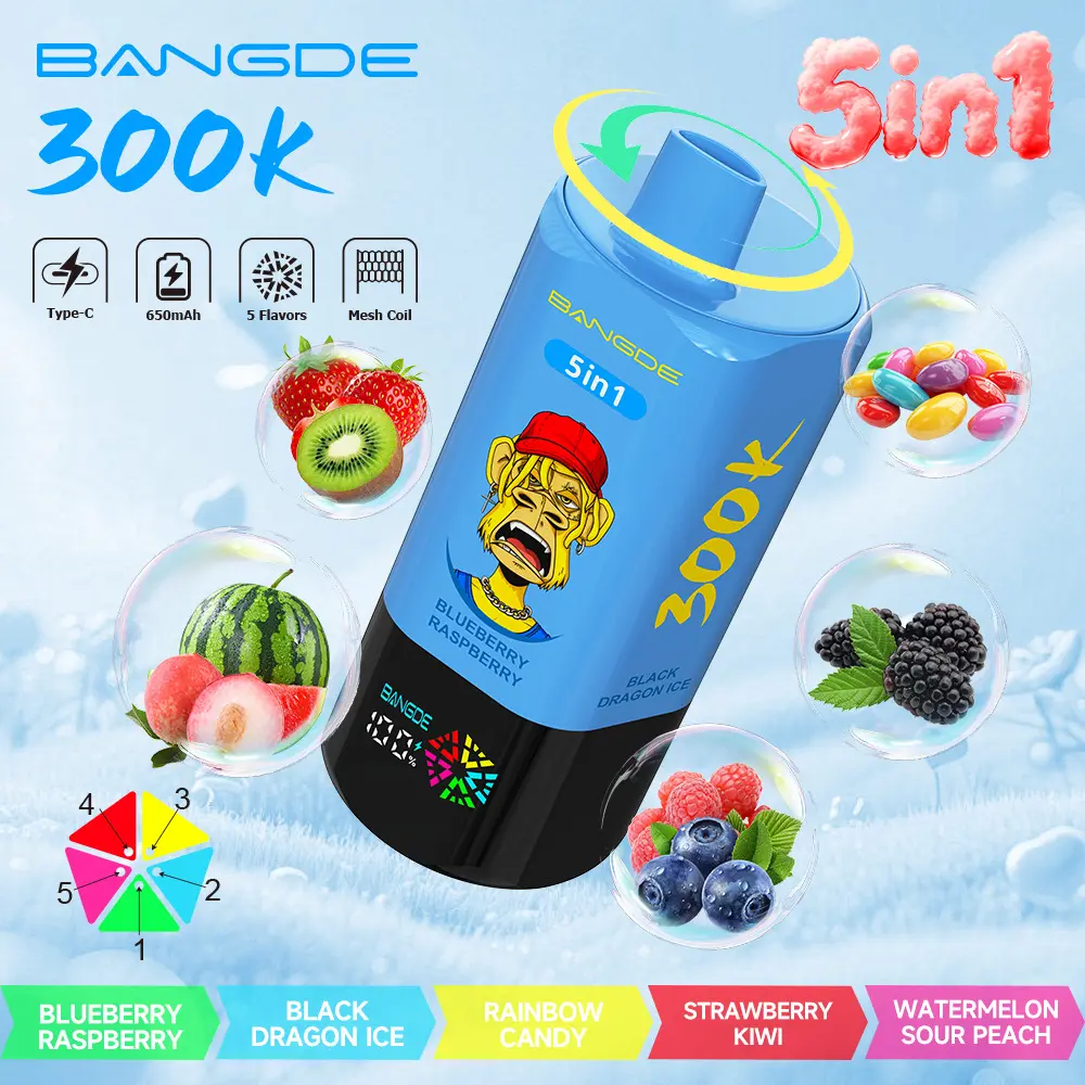 【🔥 BUY MORE, GET MORE FREE】Bang DE 300K 300000 Vape 5-in-1 Flavors Rechargeable LED Display Disposable E-Cigarette - Image 22
