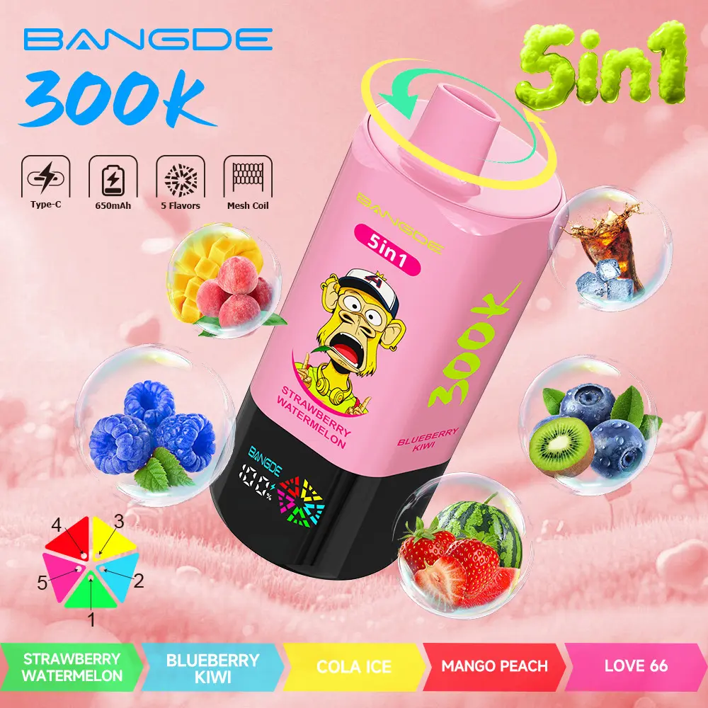 【🔥 BUY MORE, GET MORE FREE】Bang DE 300K 300000 Vape 5-in-1 Flavors Rechargeable LED Display Disposable E-Cigarette - Image 14