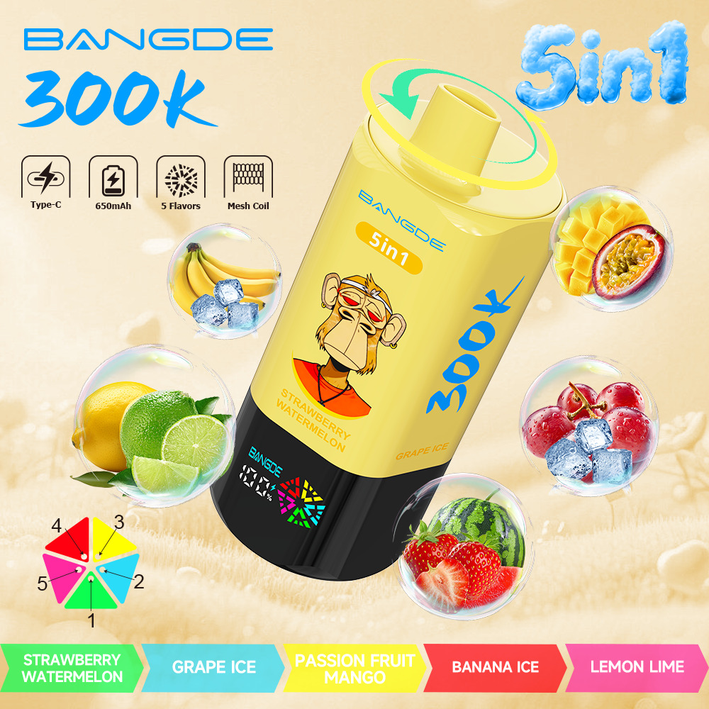 【🔥 BUY MORE, GET MORE FREE】Bang DE 300K 300000 Vape 5-in-1 Flavors Rechargeable LED Display Disposable E-Cigarette - Image 11