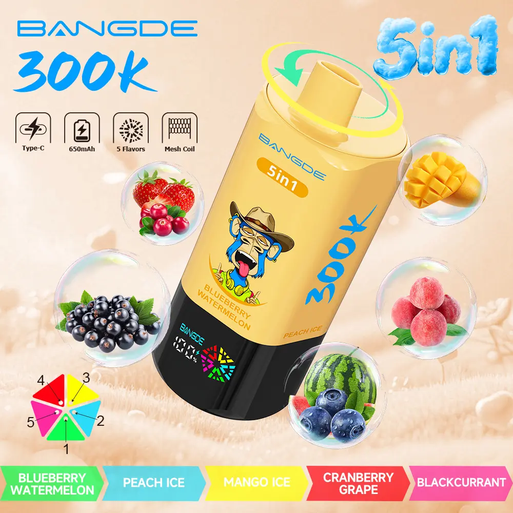 【🔥 BUY MORE, GET MORE FREE】Bang DE 300K 300000 Vape 5-in-1 Flavors Rechargeable LED Display Disposable E-Cigarette - Image 20