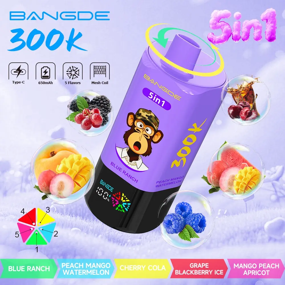 【🔥 BUY MORE, GET MORE FREE】Bang DE 300K 300000 Vape 5-in-1 Flavors Rechargeable LED Display Disposable E-Cigarette - Image 6