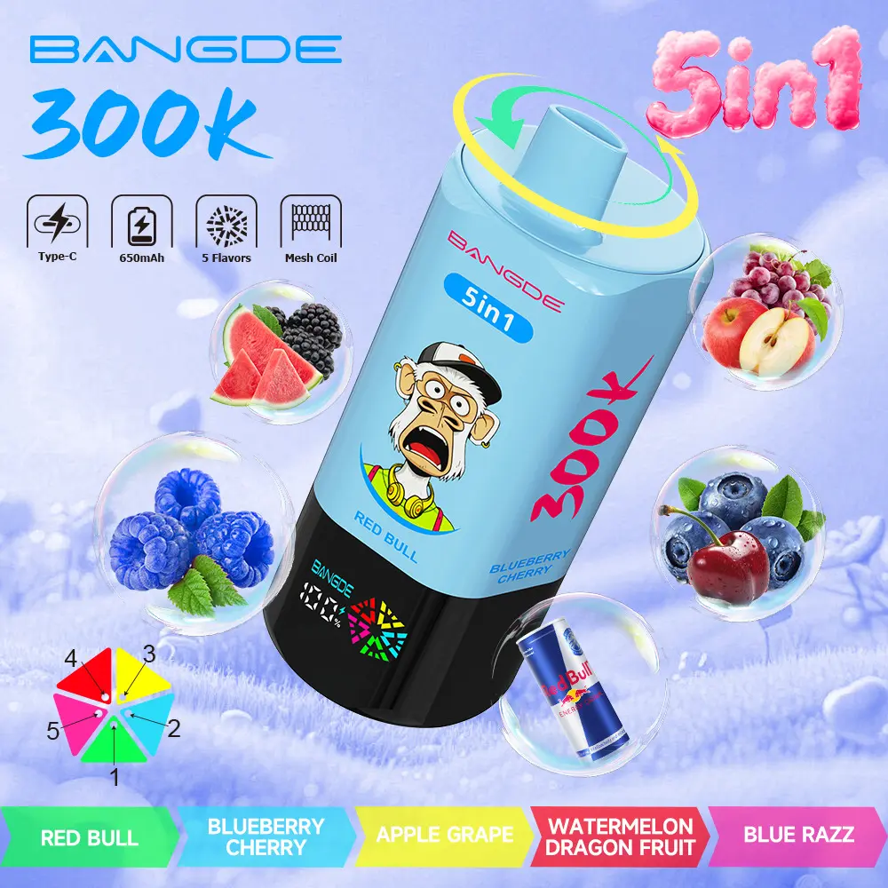 【🔥 BUY MORE, GET MORE FREE】Bang DE 300K 300000 Vape 5-in-1 Flavors Rechargeable LED Display Disposable E-Cigarette - Image 16