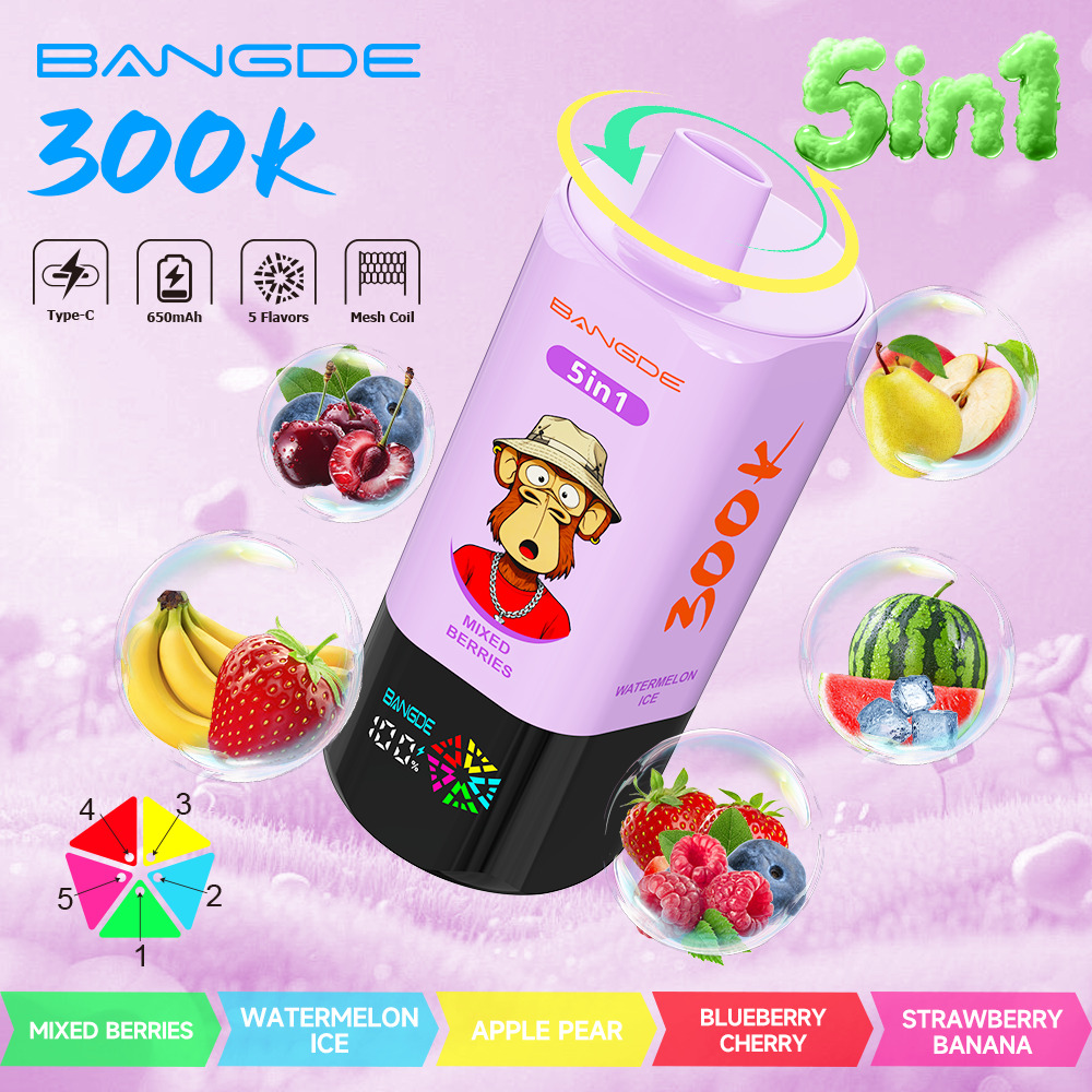 【🔥 BUY MORE, GET MORE FREE】Bang DE 300K 300000 Vape 5-in-1 Flavors Rechargeable LED Display Disposable E-Cigarette - Image 17