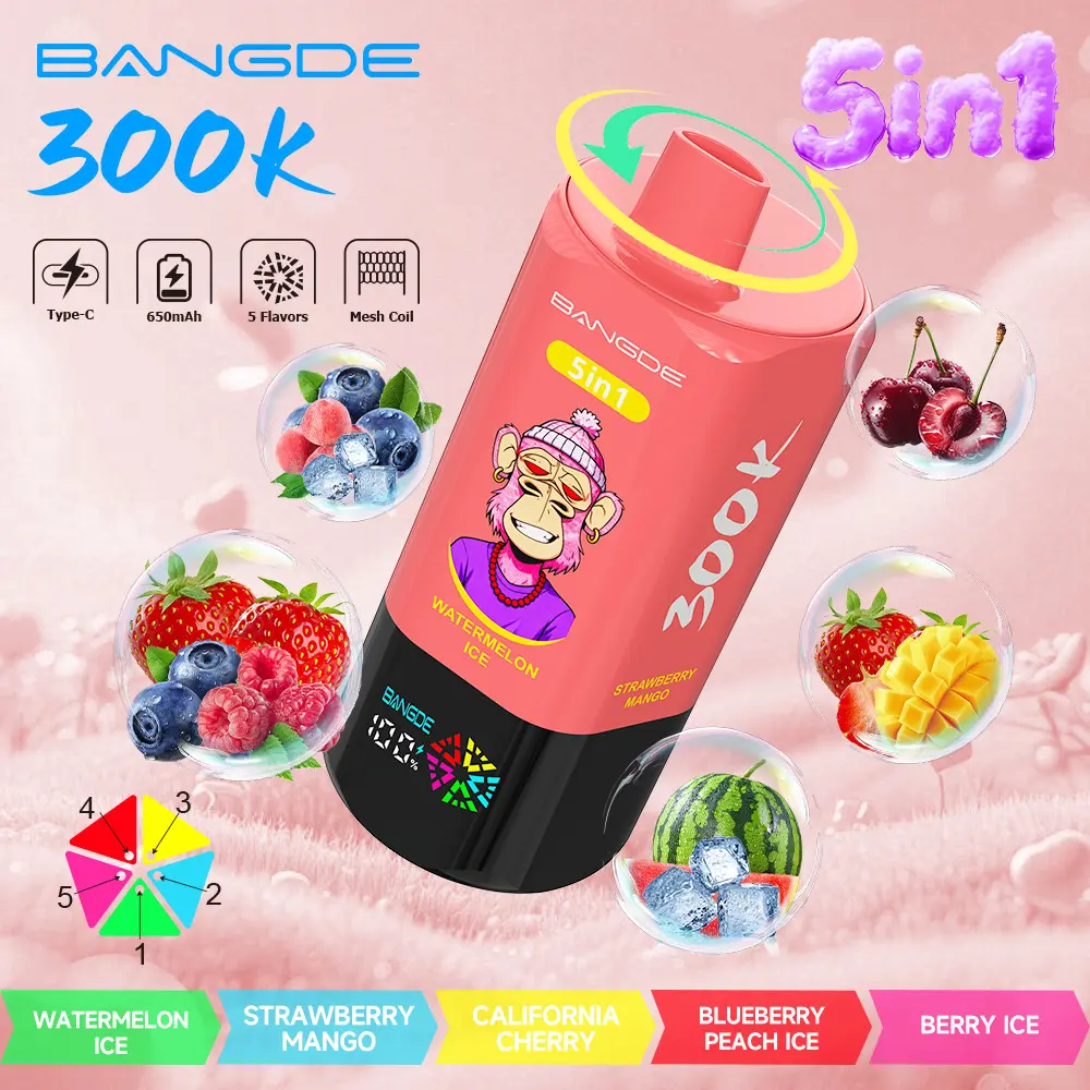 【🔥 BUY MORE, GET MORE FREE】Bang DE 300K 300000 Vape 5-in-1 Flavors Rechargeable LED Display Disposable E-Cigarette - Image 8